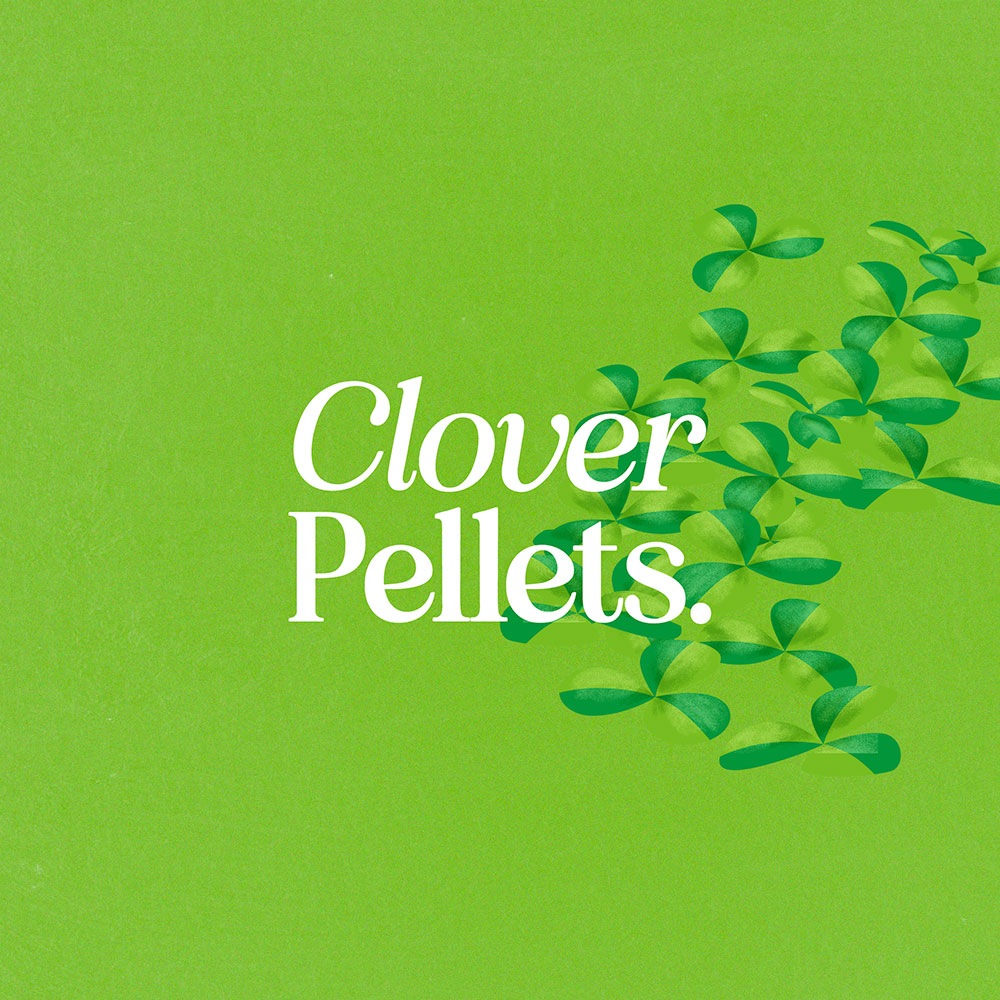 Organic Clover Litter