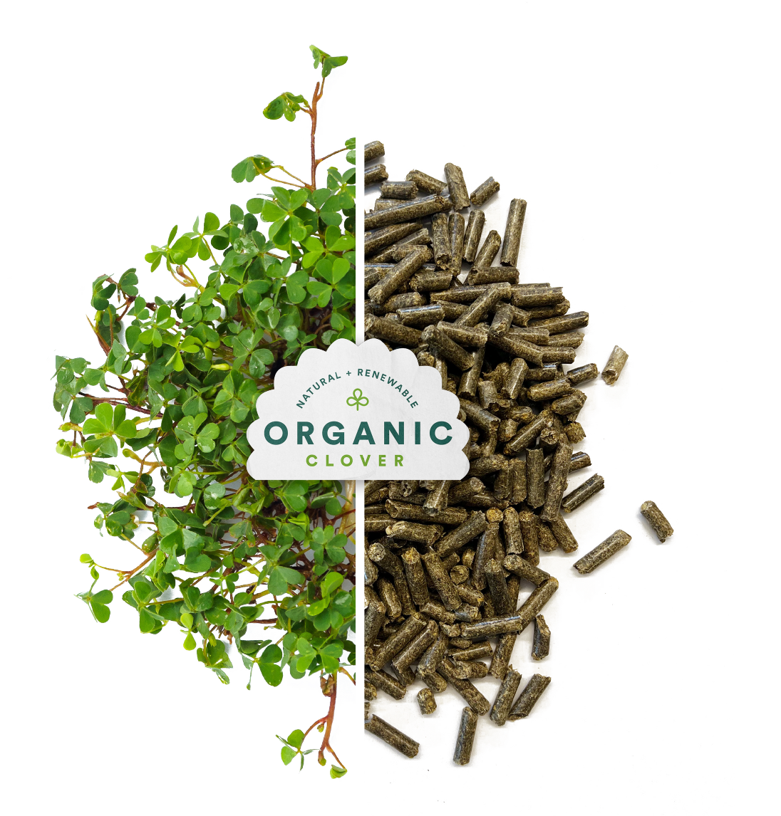 Organic Clover Litter
