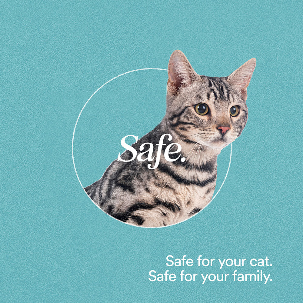 Organic Clover Litter